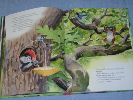 Hop objavuje svet v korune stromu,