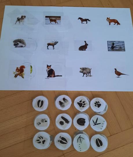 Multifunkčná edukativna pomôcka, 