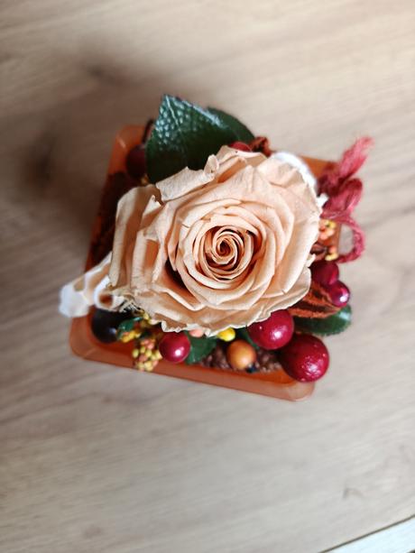 Stabilizovaná ruža, 