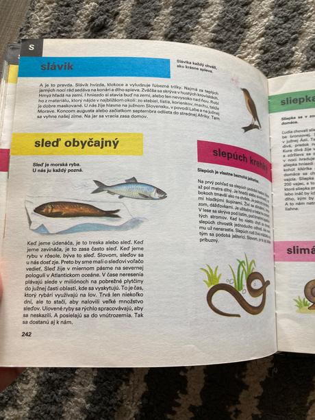 Detská encyklopédia bohumil říha j.kalousek (1985), 