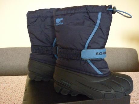 Snehule sorel, sorel,33