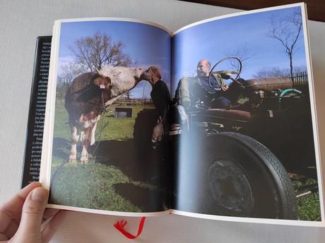 Raději zešílet v divočině, 