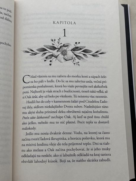 Nová kniha vaznov tron - holly black, 