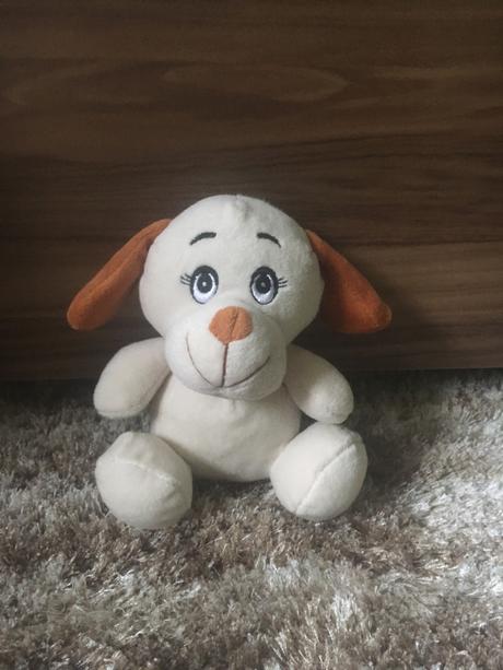 Plyšový psík,