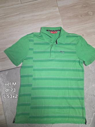 Polokosela puma, puma,m