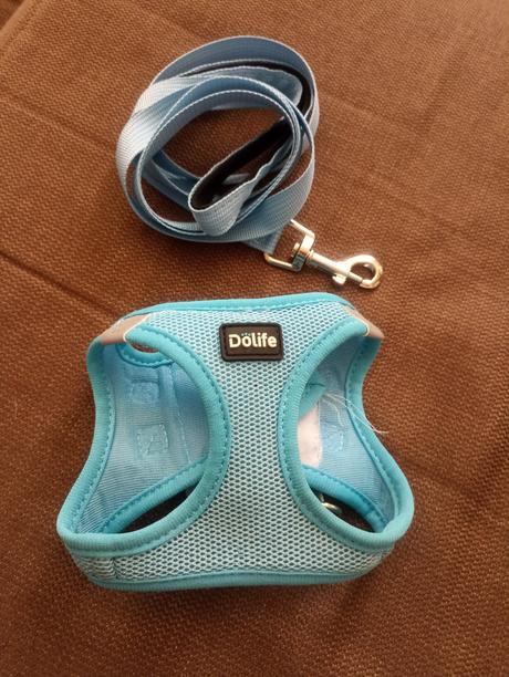 Postroj pre maleho psíka vel. xs, 