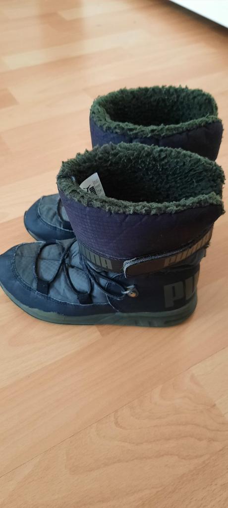 Zimné pumy, puma,28