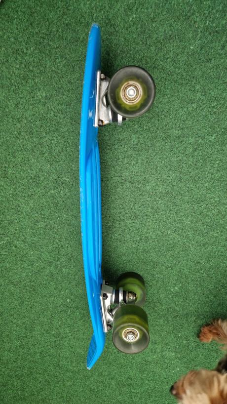Penyboard/ skateboard,