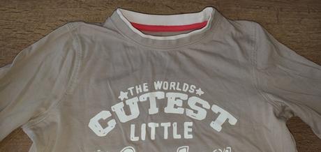 Bledohnedé tričko, 104