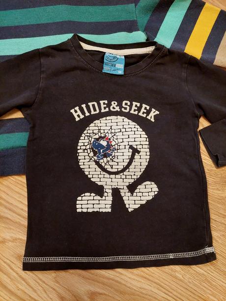 Tricka a mikinky 98/104, zara,98