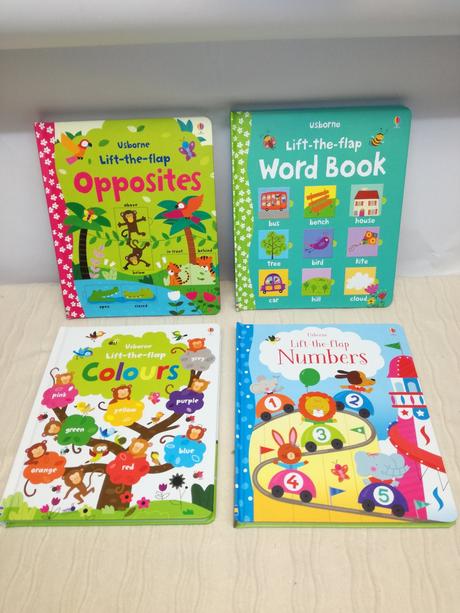 Usborne lift the flap word book,