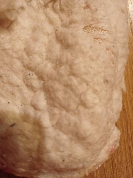 Papučky, capačky ľadové kráľovstvo 24-26, disney,24