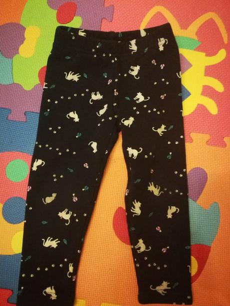 Vyteplene leginy, topolino,92