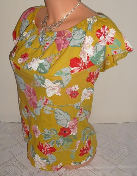 Terranova volanikovy topik, terranova,s