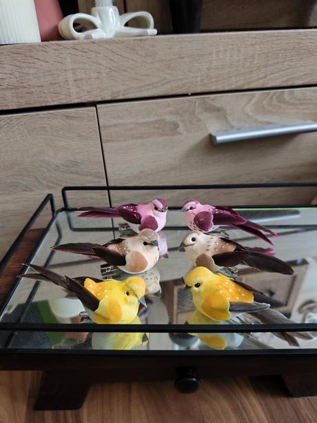 Vtáčiky na štipci, 