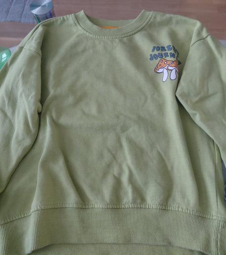 Mikina-hribiky, sinsay,128