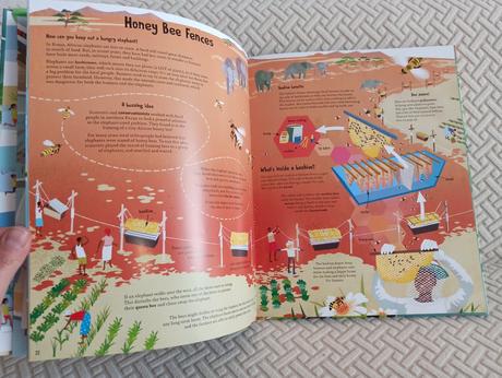 Maddie moate - stuff,