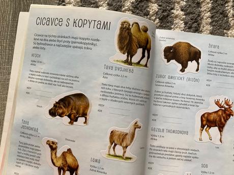 Kniha o zvieratách s nálepkami-zoo,záhrada,motýle,