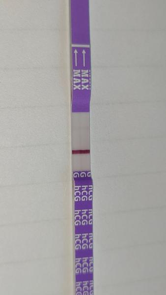 11. deň cyklu: Môžem byť tehotná?