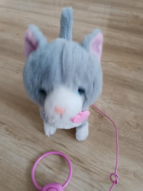 Interaktívna mačka, 