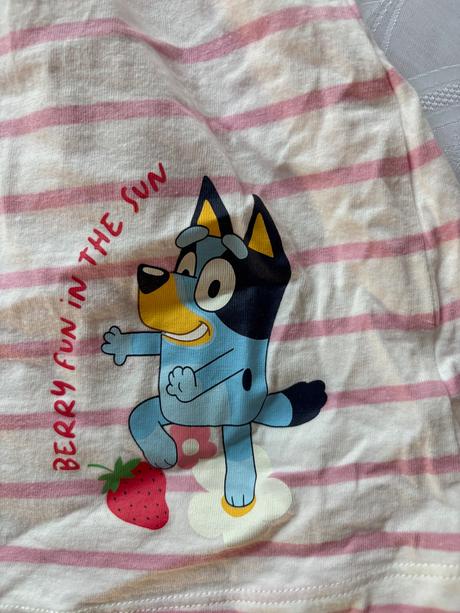 Bluey satocky viac ako top stav, f&f,98