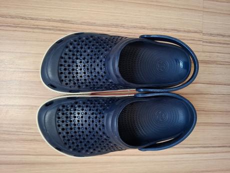 Coqui kroksy, coqui,38