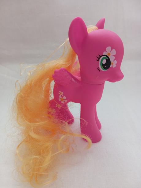 Poníky s doplnkami, 