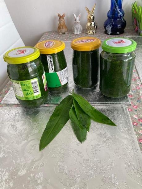 Pesto z medvedieho cesnaku,