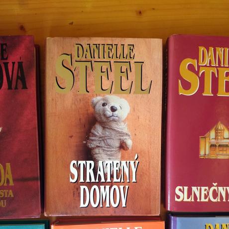Danielle steel- stratený domov, 