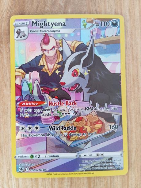 Pokémon mightyena, 