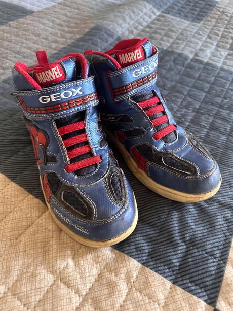 Topánky geox, geox,36