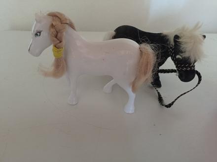 Kôň čierny darujem, 