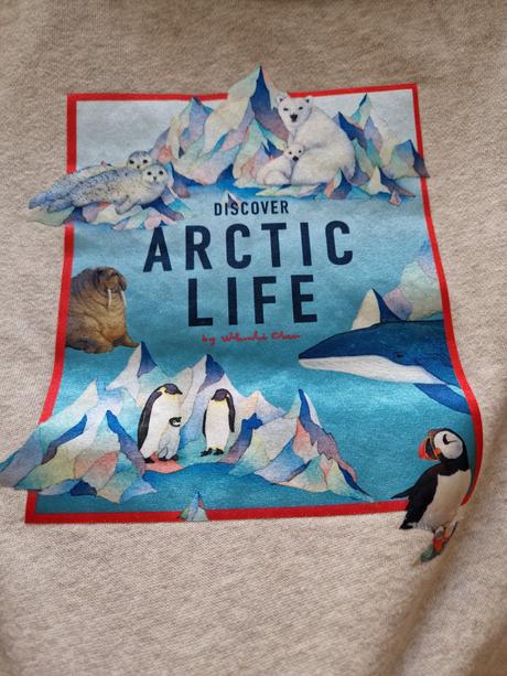 26sa_mikiny s kapucnou, 122