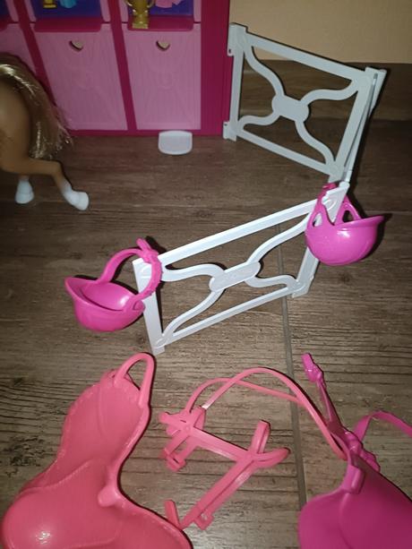 Menší koník s ohradou, 