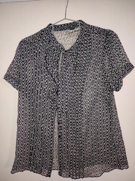 Priesvitná blúzka, 40