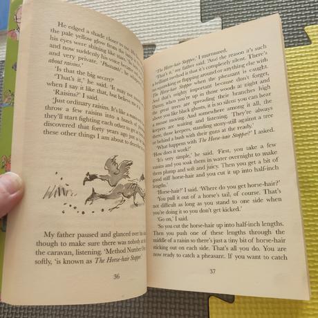 Ronald dahl danny the champion of the world,