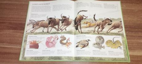 Zvieratá a ich svet, 