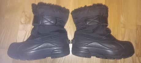 Snehule sorel, sorel,29