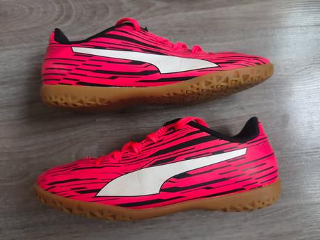Halovky, puma,31