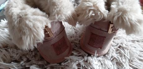 Zimné čižmičky s kožušinkou next uk5, next,21