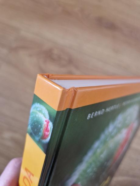 Svojtka kvitnúca záhrada, 