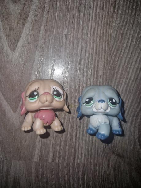 Littlest pet shop bernardin, 