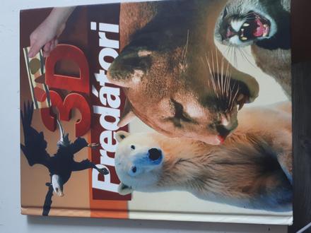 Chlapčenské knižky, 