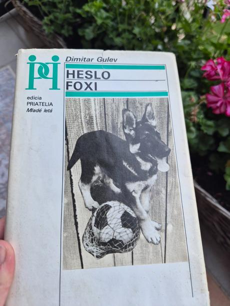 Kniha heslo foxi, 