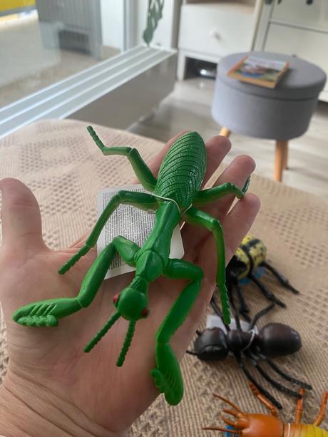 Veľký hmyz chrobák modlivka, dekorácia do záhrady, 