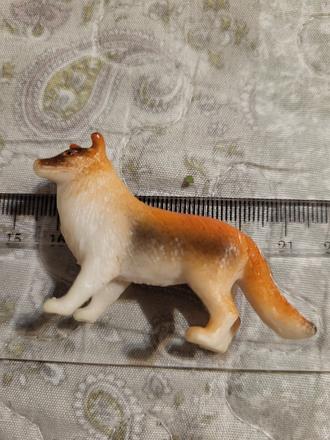 Zvierata - nosorozec kolia,