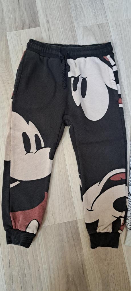 Teplaky, zara,104