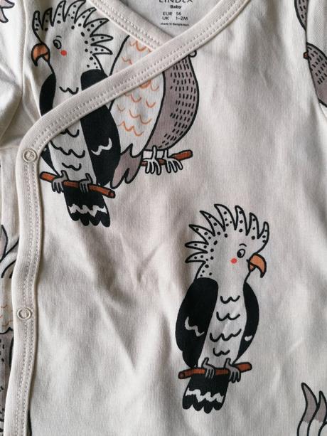 Body papagáj, lindex,56