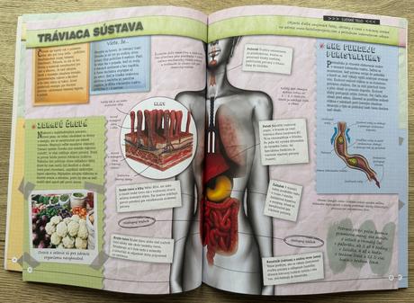 Kniha ľudské telo iveta výrašteková-dalmádyová,