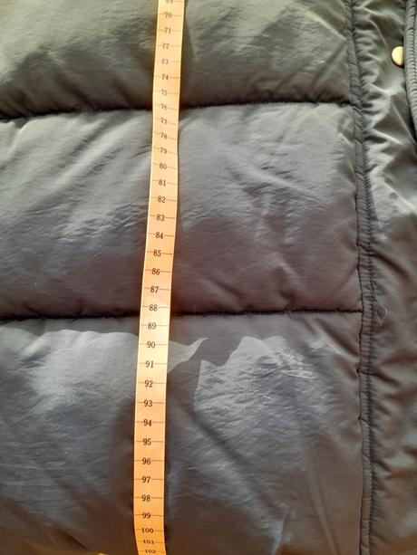 Vesta, xl